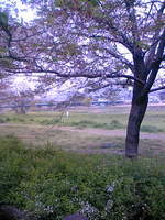 ishikawa-dote.jpg